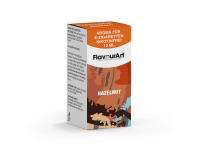 FlavourArt-Aromen-10ml-Hazelnut_1000x750.png